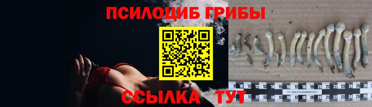 Псилоцибиновые грибы Magic Shrooms Кувандык