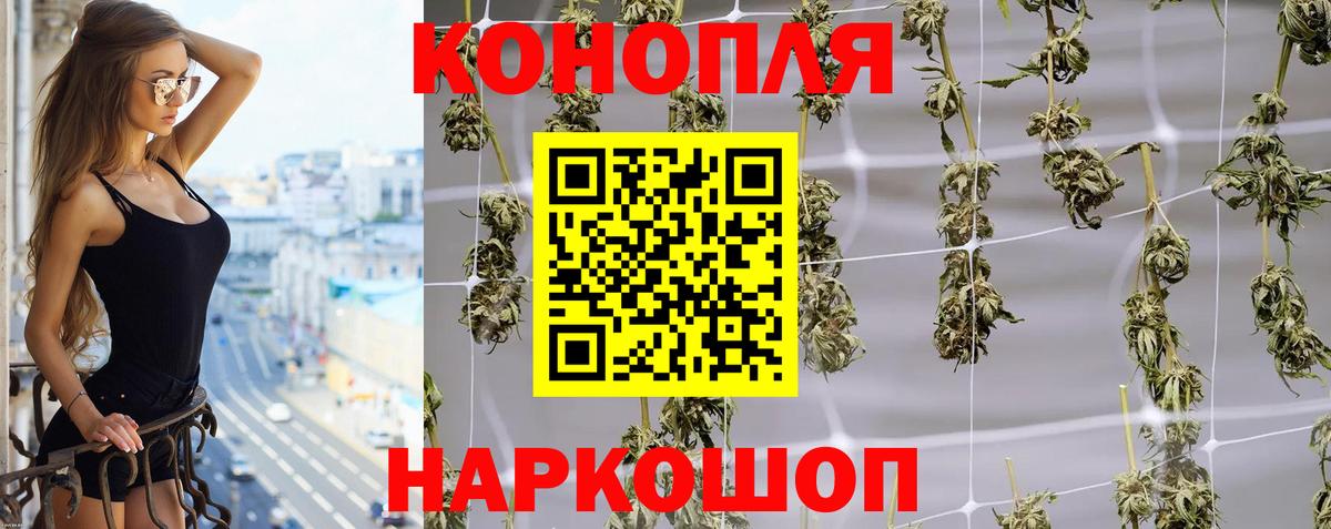Конопля сатива  Вход с VPN  Конопля AK-47  Бошки Шишки White Widow  Кувандык 