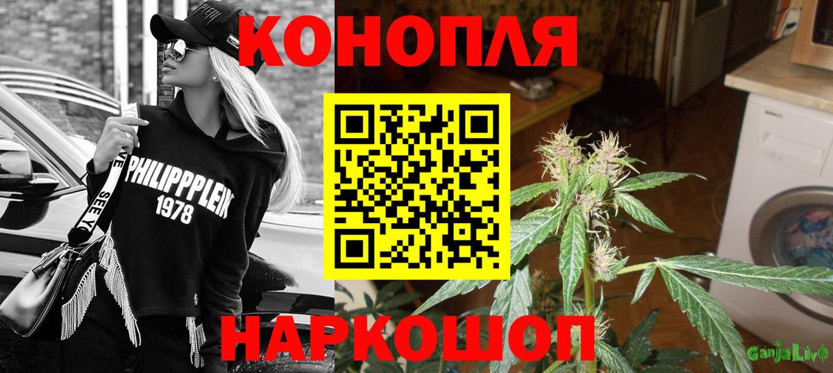 Бошки Шишки гибрид Кувандык